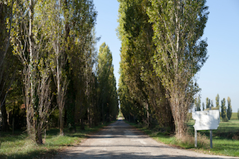 Click to enlarge