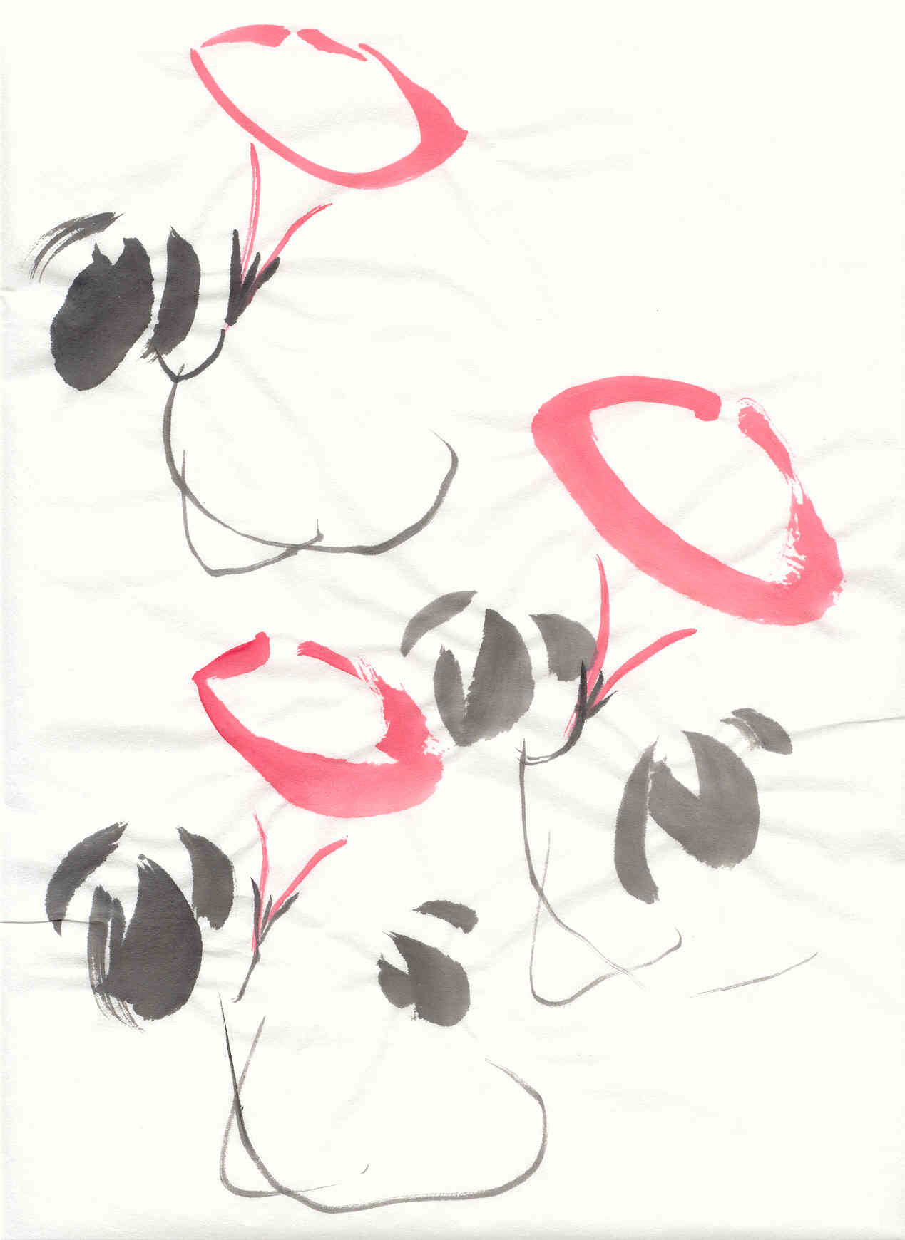 Asagao. Drawing by Sanae Yajima